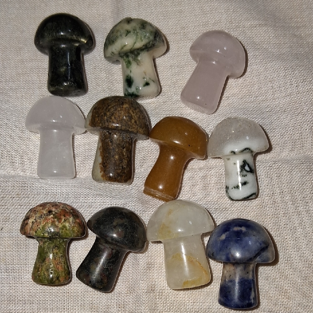 MM10 Assorted Stone Mushroom Figurines - Set of 11